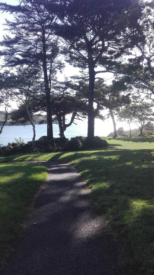 The Dell Dublin Bed & Breakfast Dun Laoghaire Bagian luar foto